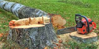 Best Firewood Processing and Delivery  in Dora, AL